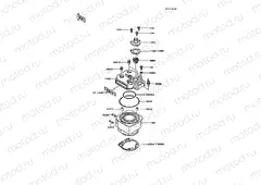 Cylinder Head/Cylinder
