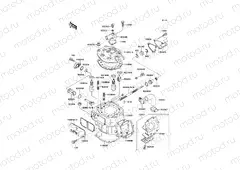 Cylinder Head/Cylinder
