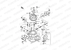 Cylinder Head/Cylinder