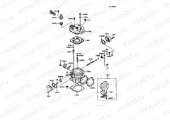 Cylinder Head/Cylinder