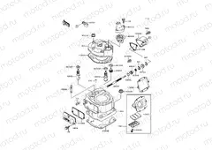 Cylinder Head/Cylinder