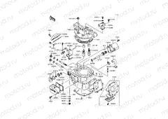 Cylinder Head/Cylinder