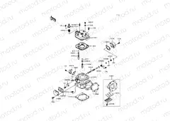 Cylinder Head/Cylinder