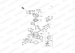 Cylinder Head/Cylinder