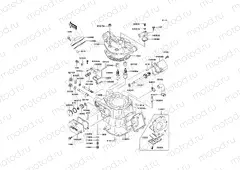 Cylinder Head/Cylinder