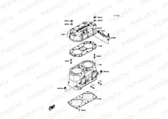 Cylinder Head/Cylinder