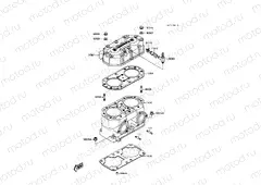 Cylinder Head/Cylinder