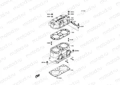 Cylinder Head/Cylinder