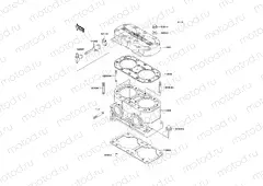 Cylinder Head/Cylinder
