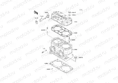Cylinder Head/Cylinder