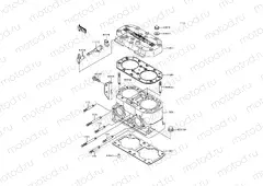 Cylinder Head/Cylinder