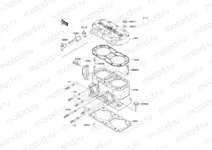 Cylinder Head/Cylinder