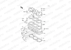 Cylinder Head/Cylinder