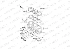 Cylinder Head/Cylinder