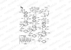 Cylinder Head/Cylinder
