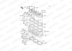 Cylinder Head/Cylinder