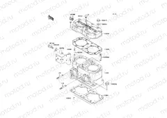 Cylinder Head/Cylinder