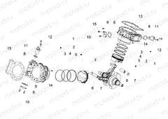 Cylinder - Piston