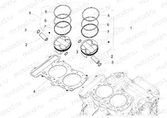 Cylinder - Piston