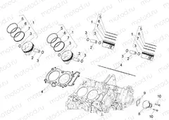 Cylinder - Piston