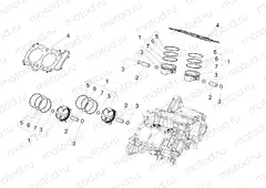 Cylinder - Piston