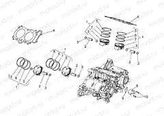 Cylinder - Piston