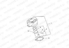 Cylinder - Piston