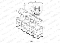 Cylinder & Piston Assembly