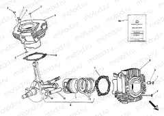 CYLINDER - PISTON » ENGINE CASE