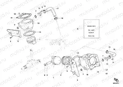 CYLINDER - PISTON » ENGINE CASE