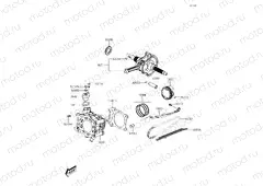 Cylinder & Pistons