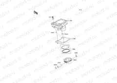 Cylinder/Piston(s)