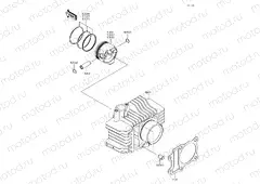 Cylinder/Piston(s)