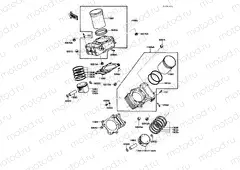 Cylinder/Piston(s)