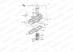 Cylinder/Piston(s)