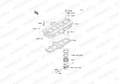 Cylinder/Piston(s)