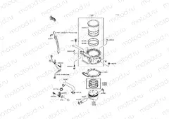 Cylinder/Piston(s)
