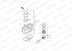 Cylinder/Piston(s)