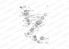 Cylinder/Piston(s)