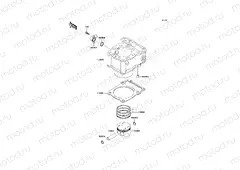 Cylinder/Piston(s)