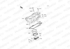 Cylinder/Piston(s)