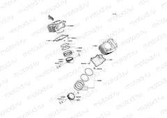 Cylinder/Piston(s)