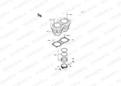 Cylinder/Piston(s)