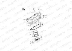 Cylinder/Piston(s)