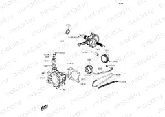 Cylinder/Piston(s)