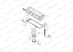 Cylinder/Piston(s)