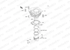 Cylinder/Piston(s)