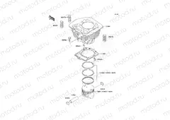 Cylinder/Piston(s)