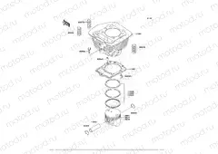 Cylinder/Piston(s)
