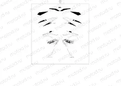 DECAL